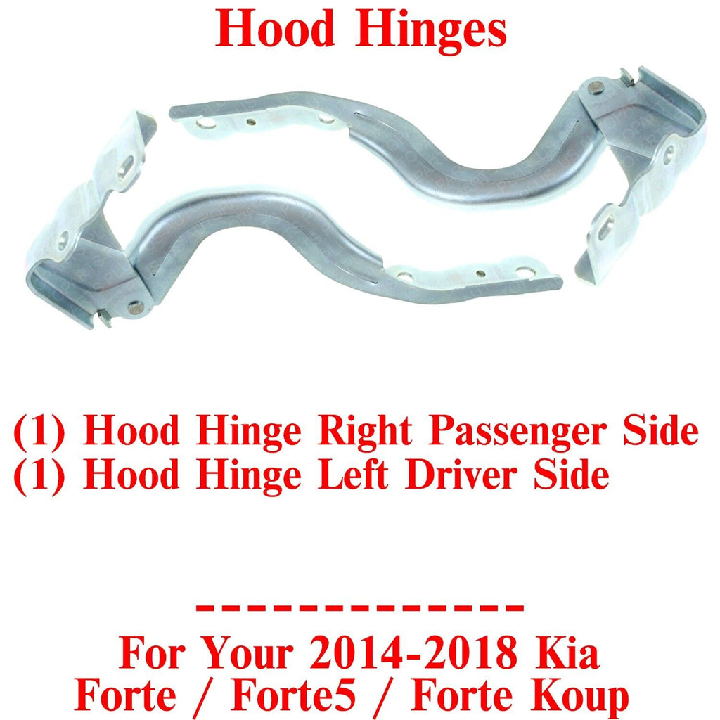 Hood Hinges Left & Right Side For 2014-2018 Kia Forte / Forte5 / Forte Koup