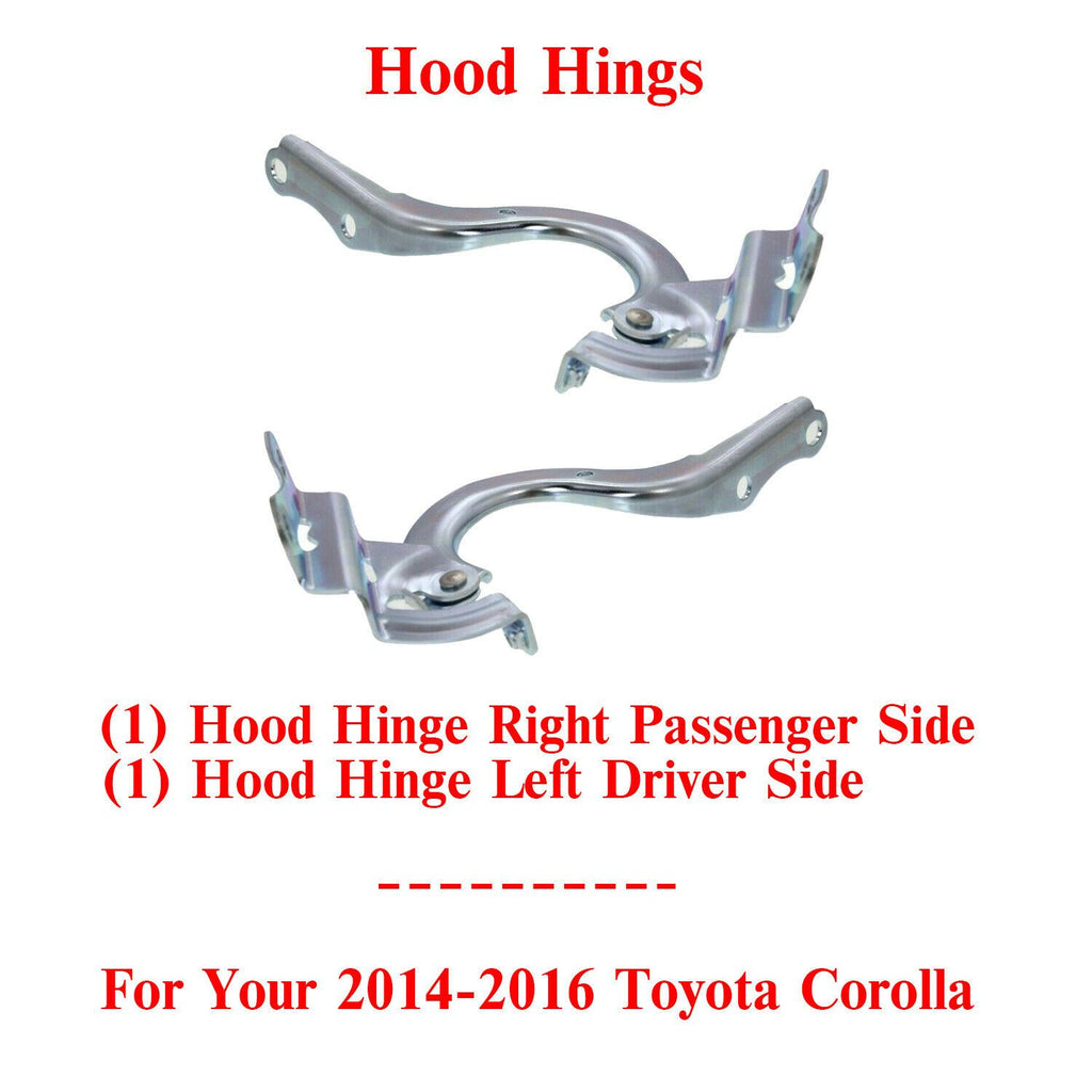 Set of 2 Hood Hinges Driver & Passenger Side Pair For 2014-2016 Toyota Corolla
